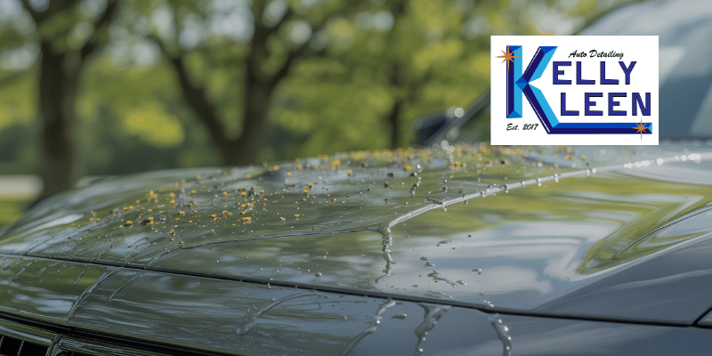 clean vehicle protected from bugs pollen and sap in Missouri